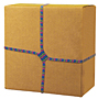 1-Way Bands Brites® Rubber Bands