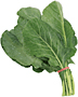 Standard Produce Bands